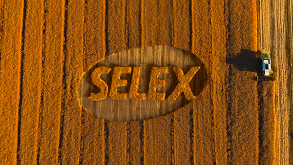 Logo Selex