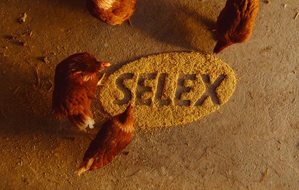 Logo Selex